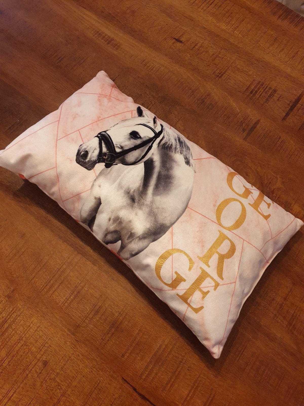 PaardenPraat TV kussen "George", Ophalen, Zo goed als nieuw, Rechthoekig