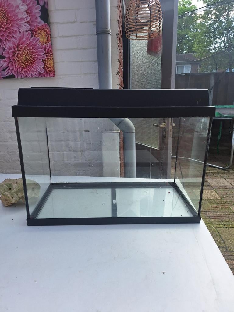 Aquarium gratis ophalen, Ophalen, Leeg aquarium