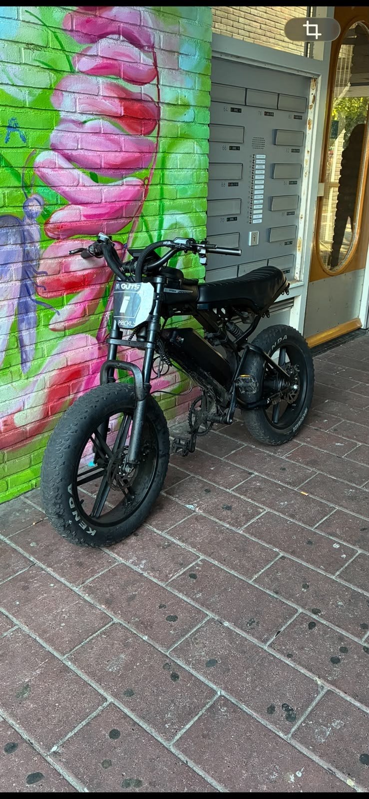 v20 pro met nieuwe motor 45km/h met kilswitch, Ophalen of Verzenden, Zo goed als nieuw, Overige typen