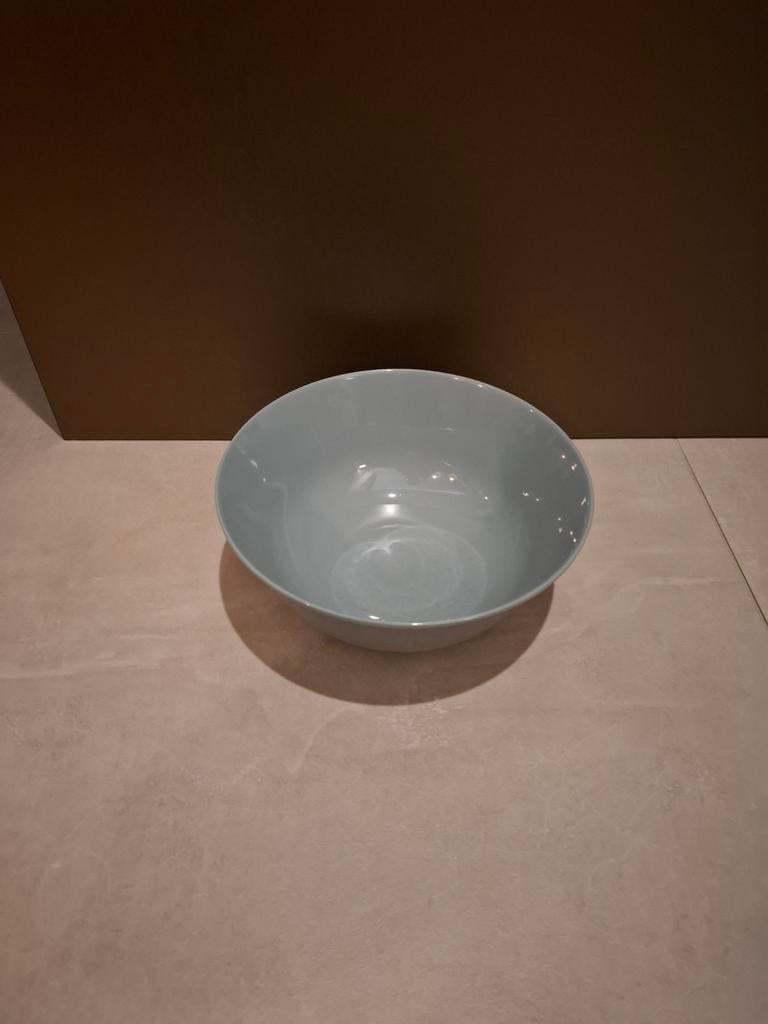 Nieuwe Villeroy & Boch Vivo serveerschaal, Ophalen of Verzenden, Overige stijlen, Porselein, Schaal of Schalen
