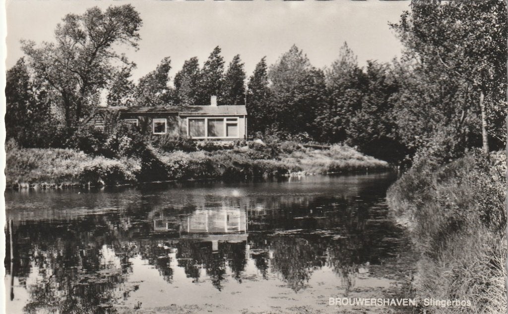 BROUWERSHAVEN Slingerbos, Verzenden, 1960 tot 1980, Gelopen, Zeeland