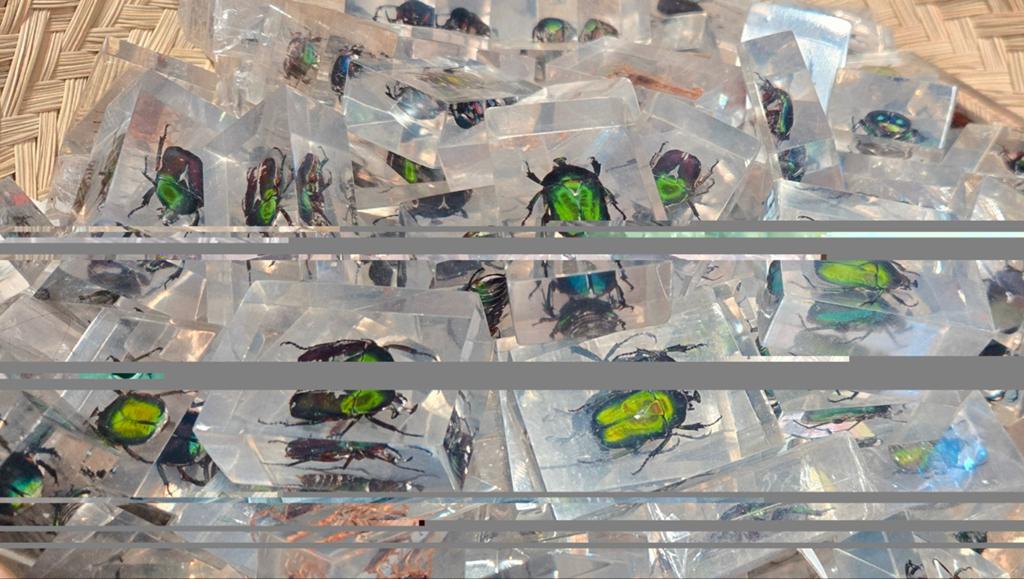 Wholesale prijs insecten in hars €2,-, Ophalen of Verzenden, Paard, Beeldje of Figuurtje