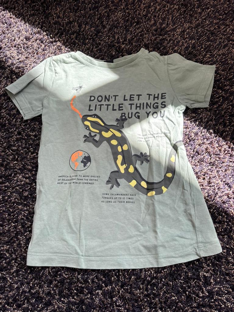 Shirt korte mouw maat 110/116, Kinderen en Baby's, Ophalen, Gebruikt, Maat 110