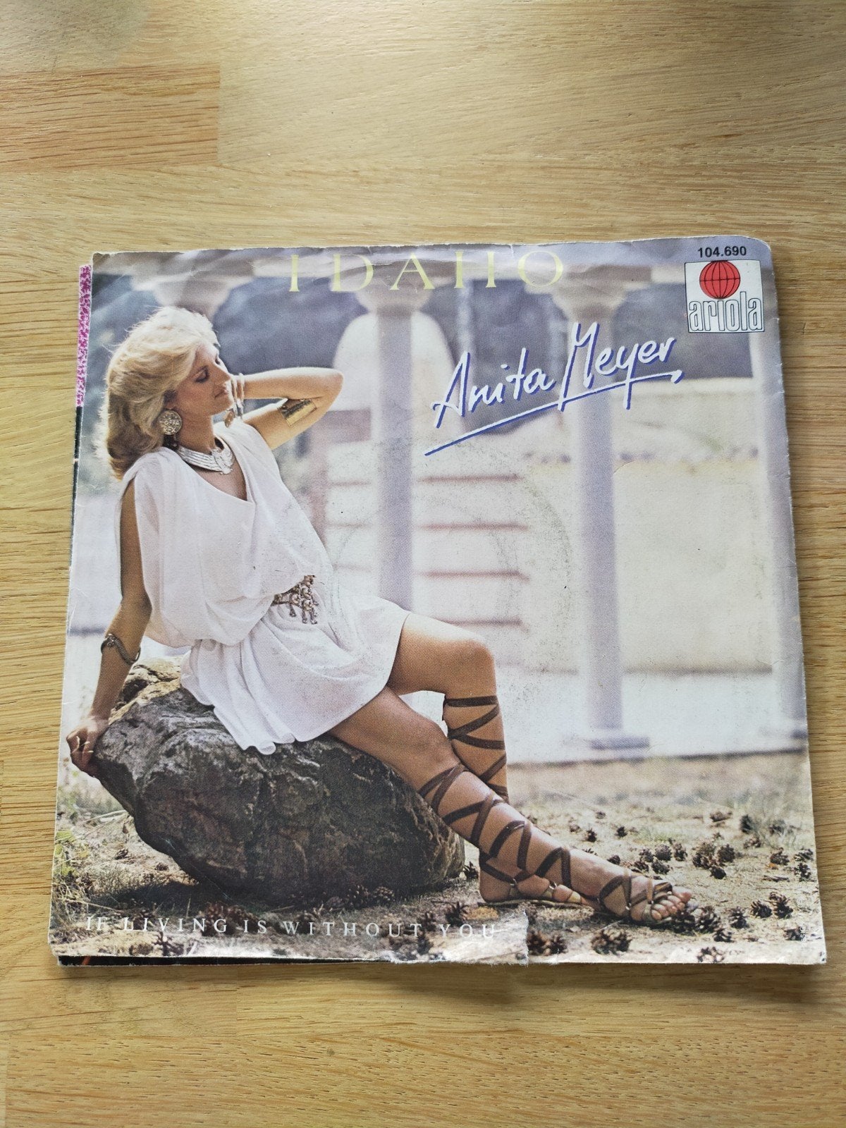 Anita Meyer , Idaho, Ophalen of Verzenden, Zo goed als nieuw, Nederlandstalig