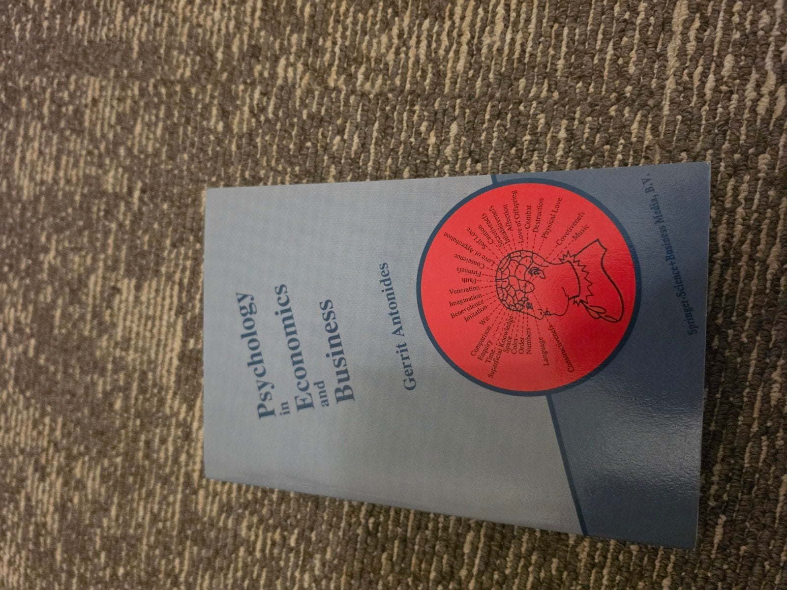 Psychology in Economics and Business - Gerrit Antonides, Ophalen of Verzenden, Zo goed als nieuw, Overige onderwerpen, Gerrit Antonides