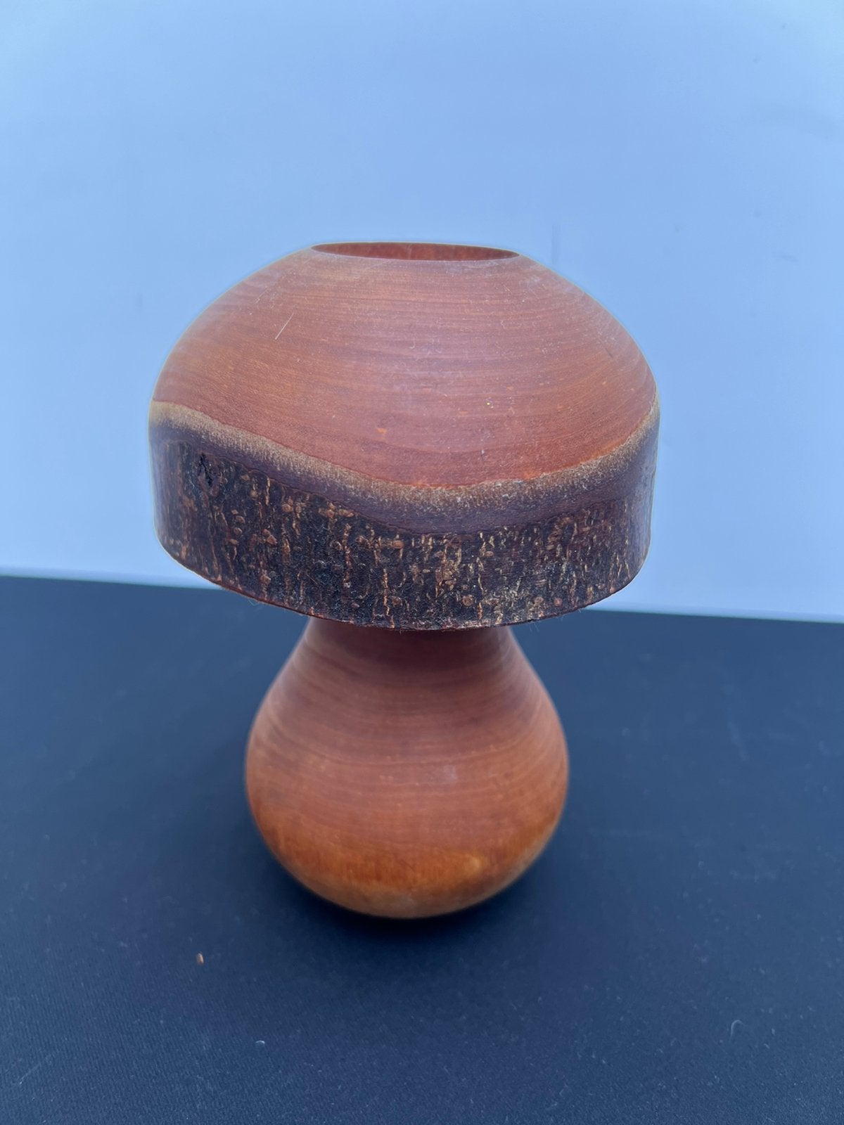 Te Koop : Houten Paddenstoel Hout Zie Foto’s, Ophalen of Verzenden, Houtsnijwerk, Minder dan 20 cm, Flora