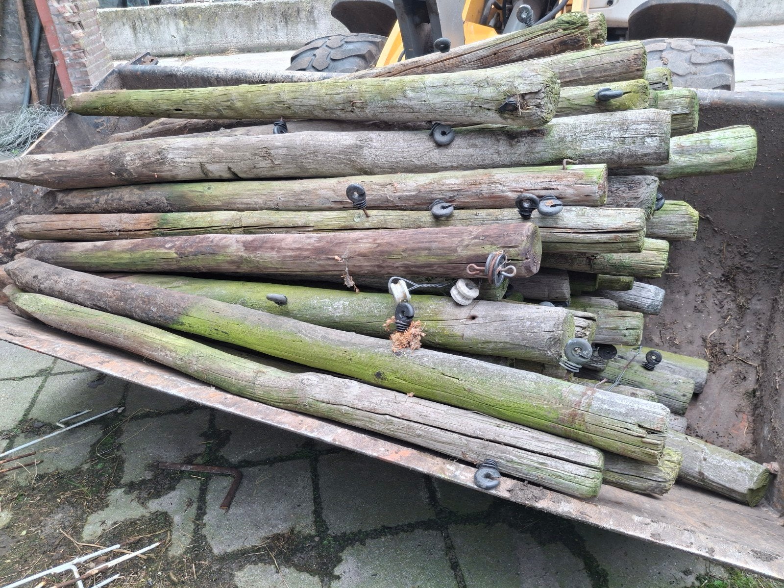 Weide palen, Dieren en Toebehoren