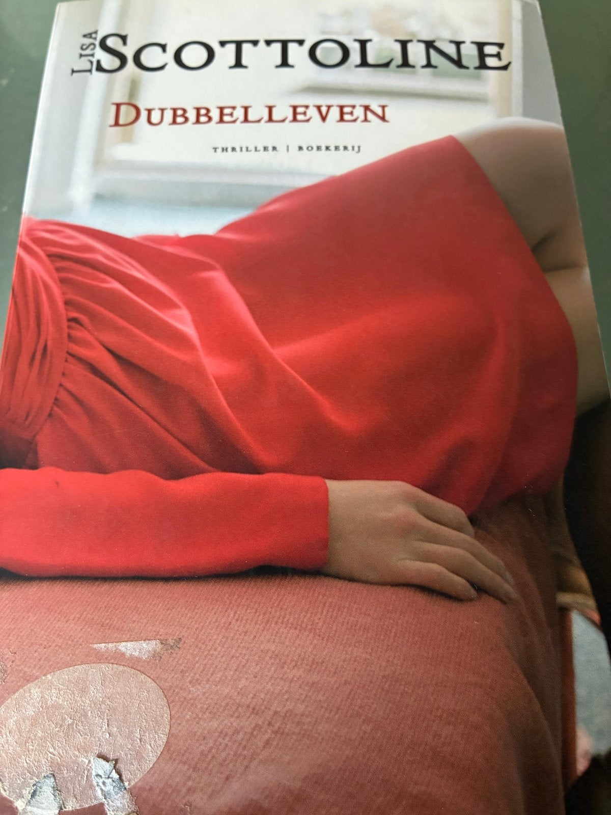Dubbelleven - Lisa Scottoline (Thriller), Ophalen of Verzenden, Gelezen, Wereld overig