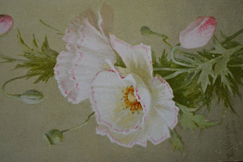 frankrijk 1910 bloemen witte klaprozen, Ophalen of Verzenden, Voor 1920, Ongelopen, Sterren en Beroemdheden
