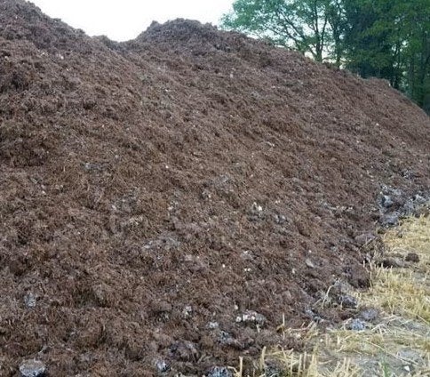 Champignonmest, Tuin en Terras, Ophalen of Verzenden, Tuinaarde