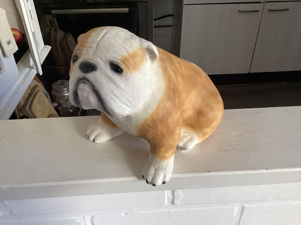 Engelse bulldog beeld, Ophalen of Verzenden, Zo goed als nieuw, Dier