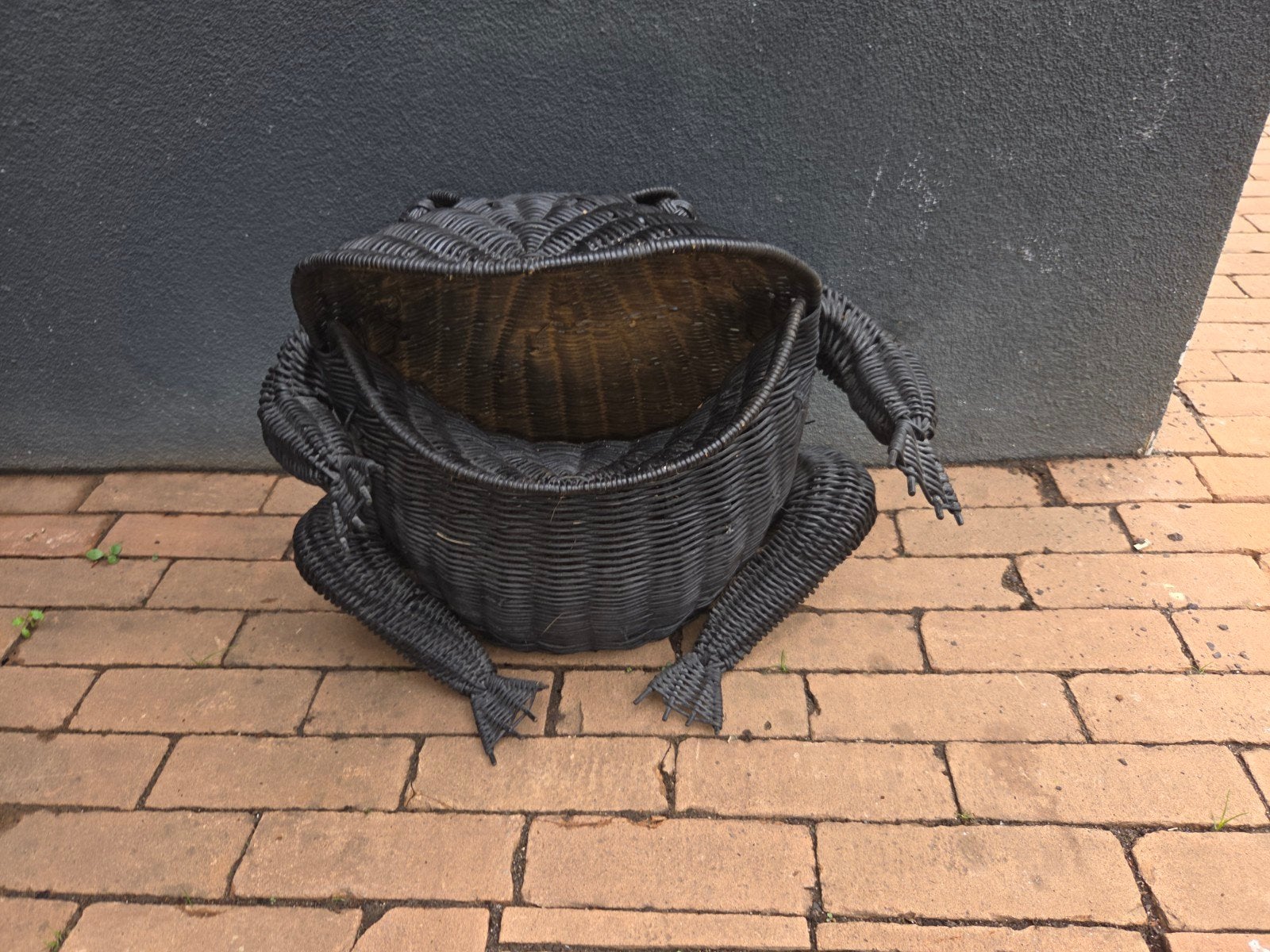 Unieke Zwarte Rotan Kikker Mand - Decoratief & Opberg, Ophalen