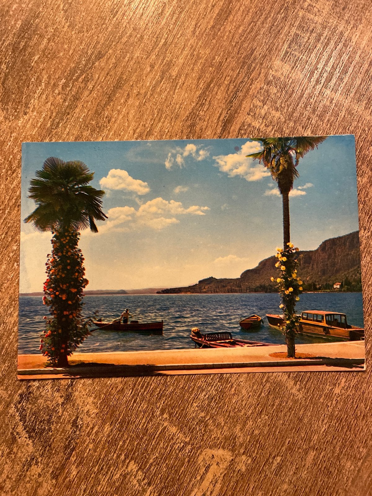 Vintage Ansichtkaart Lago di Garda - Lungolago e Punta S. Vi, Ophalen of Verzenden, 1960 tot 1980, Gelopen, Italië