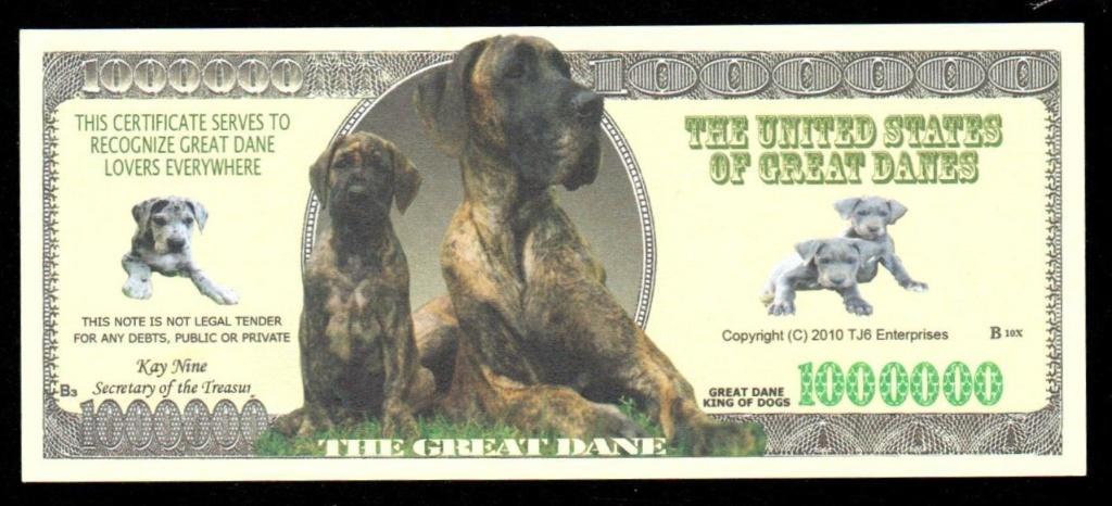 Curiosa Biljet USA - HONDEN - GREAT DANES., Ophalen of Verzenden, Noord-Amerika, Los biljet
