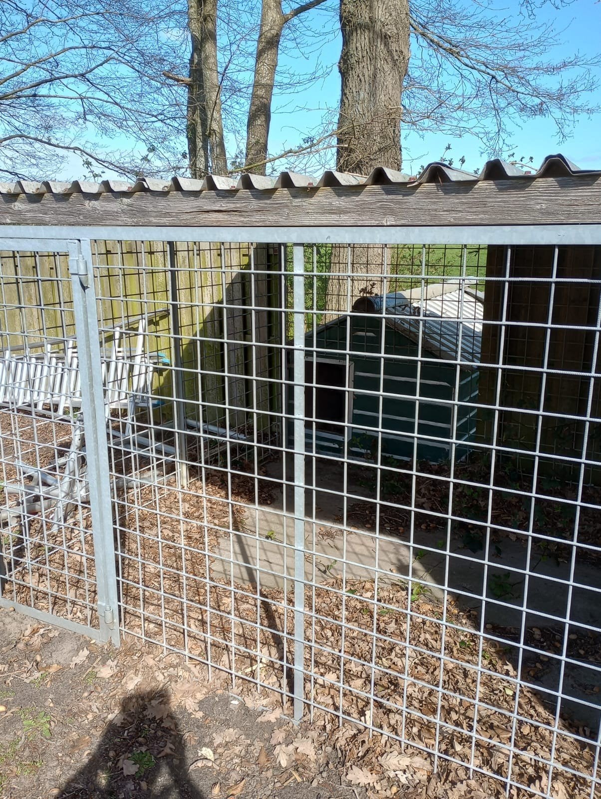 hondenkennel/hok, Ophalen