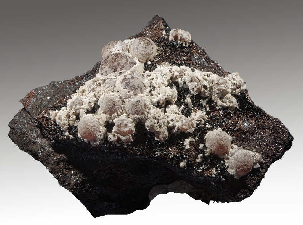 RHODOCHROSIET + KUTNOHORIET uit de N'Chwaning II mijn., Ophalen of Verzenden, Mineraal