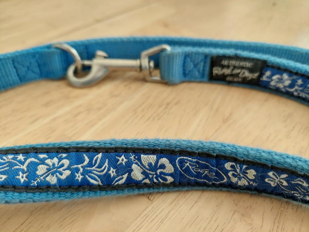Hondenriem + halsband blauw wit, Ophalen of Verzenden, Gebruikt, Hondenriem