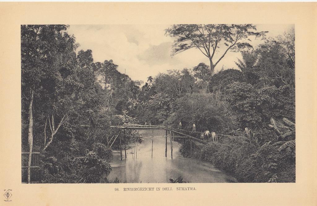 Fotoprent Indonesie Lichtdruk Sumatra Indonesia 1910, Verzenden, Voor 1940, Zo goed als nieuw, Buitenland