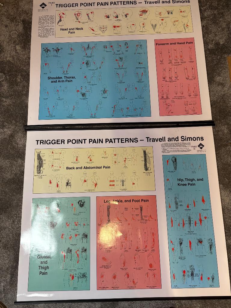 Trigger point poster Simon en travel, Ophalen, Zo goed als nieuw, Overige typen