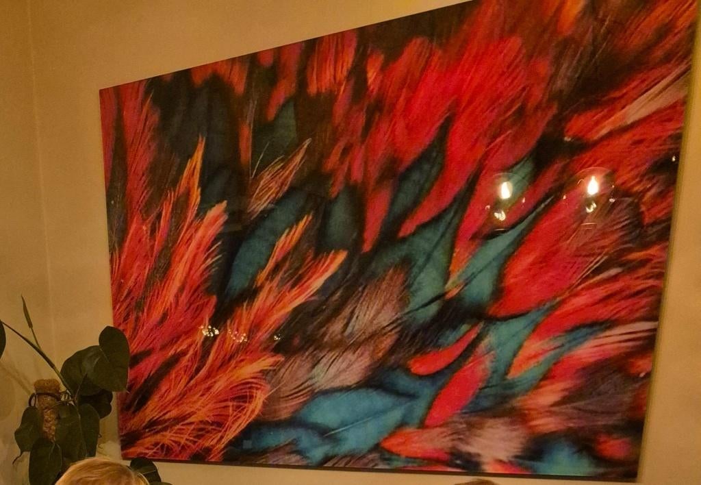 glas schilderij op plexiglas, Ophalen of Verzenden