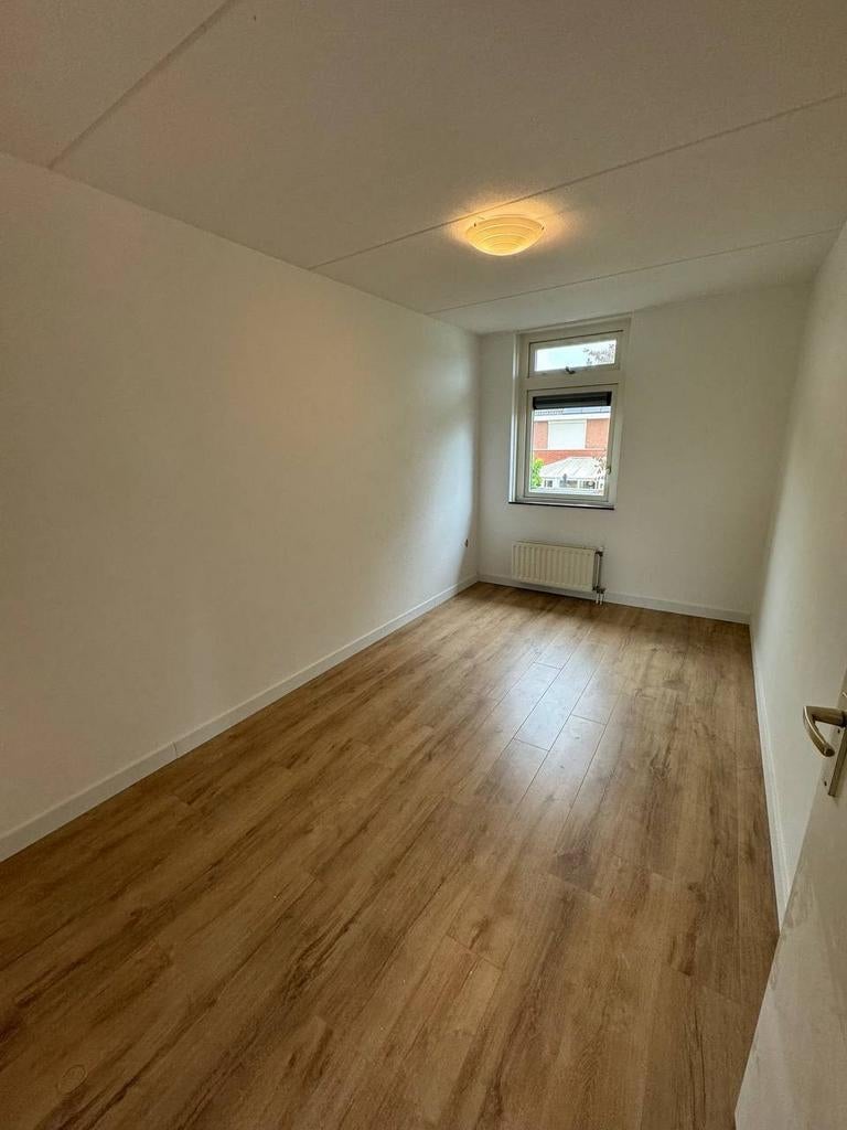 Schilderen,  vloeren , renovatie