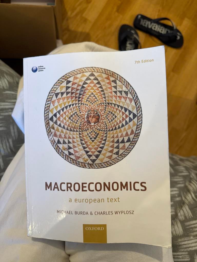 Macroeconomics: A European Text - 7th Edition, Boeken, Ophalen of Verzenden, Beta, Zo goed als nieuw, HBO