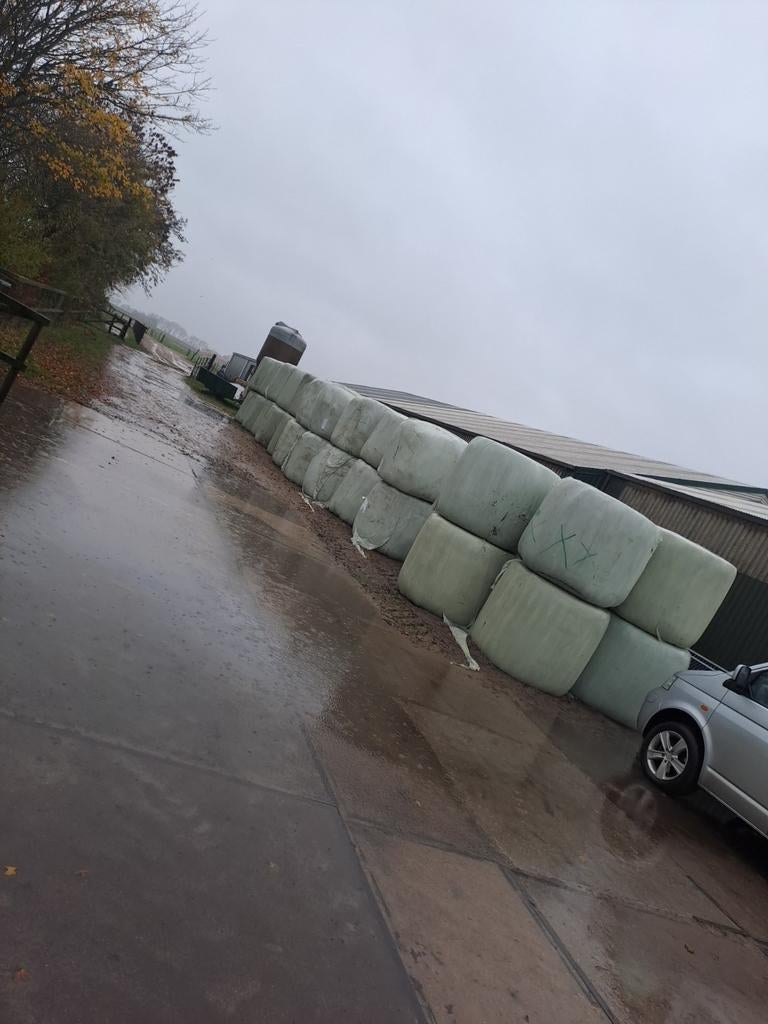 hooi te koop paard koe geit schaap, Ophalen of Verzenden