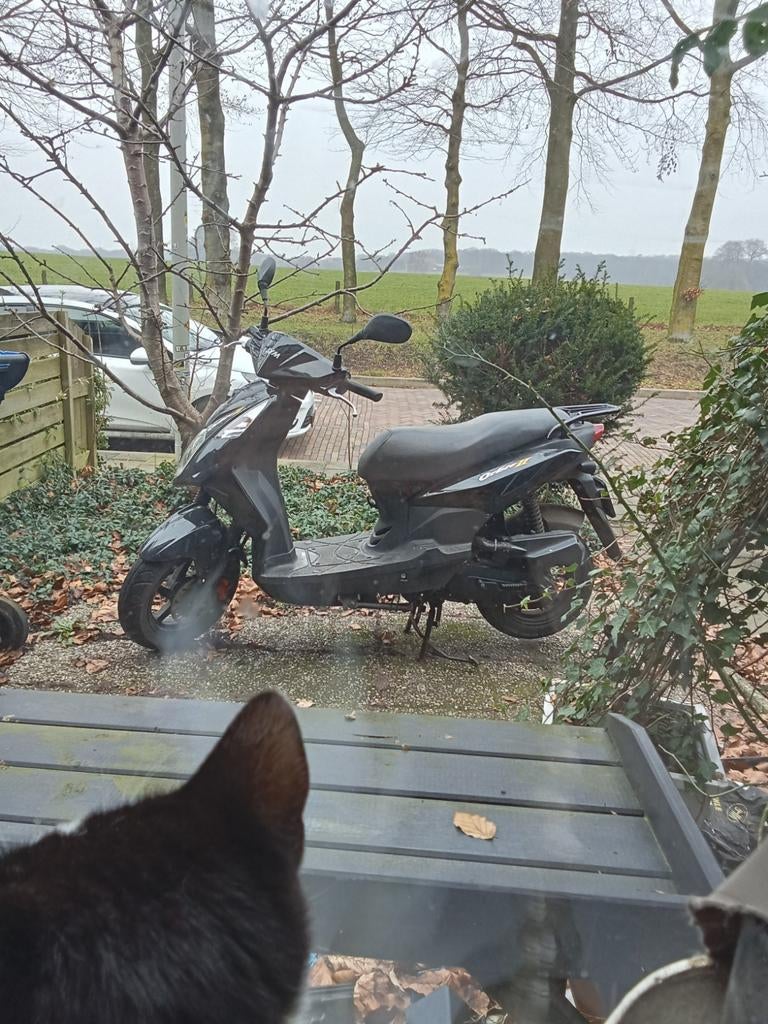 Sym orbit 2 snorscooter, Ophalen, Gebruikt, Benzine, Overige modellen