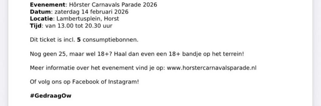 Kaartje Horster Carnavals Parade Lambertus Plein, Tickets en Kaartjes, Evenementen en Festivals, Eén persoon