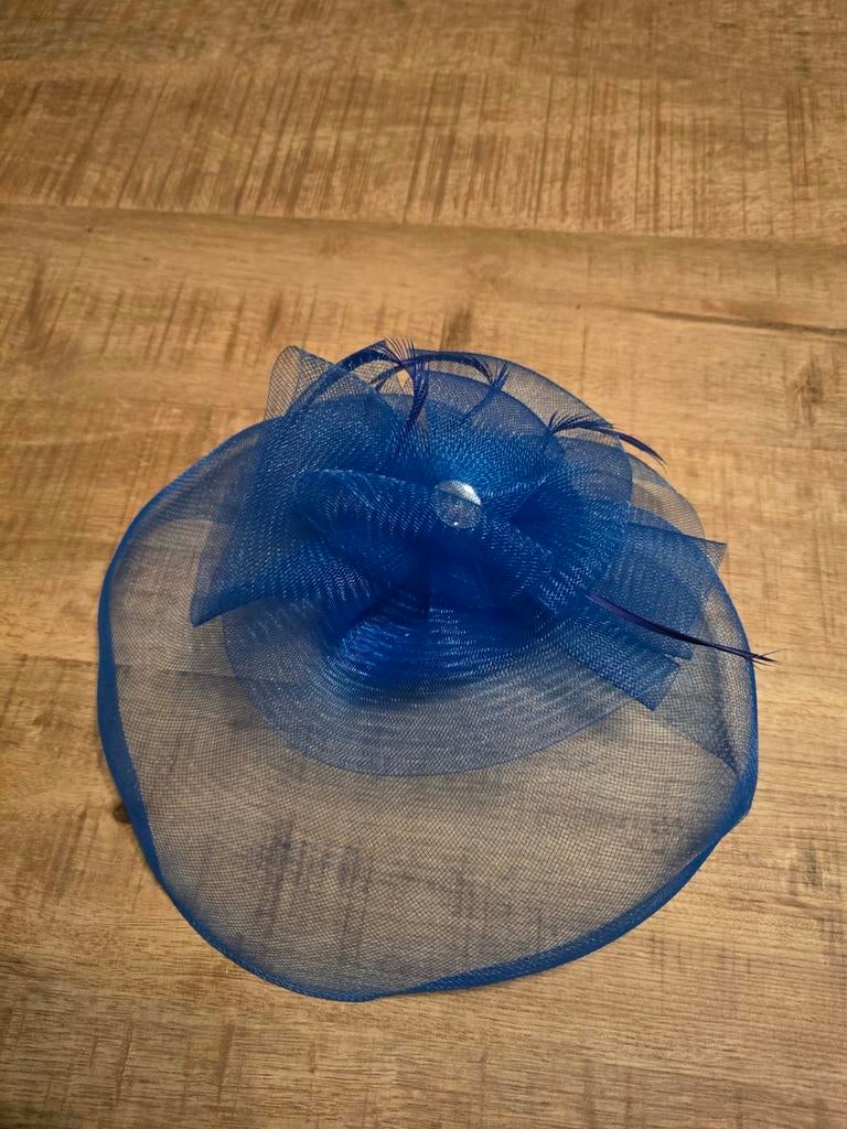 Mooi carnavals hoedje, Ophalen of Verzenden, Zo goed als nieuw, Carnaval, Accessoires