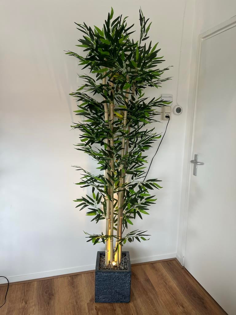 Bamboe kunstplant met sfeervolle spotverlichting, Huis en Inrichting, Kamerplanten, Overige soorten, In pot, 150 tot 200 cm, Groene kamerplant