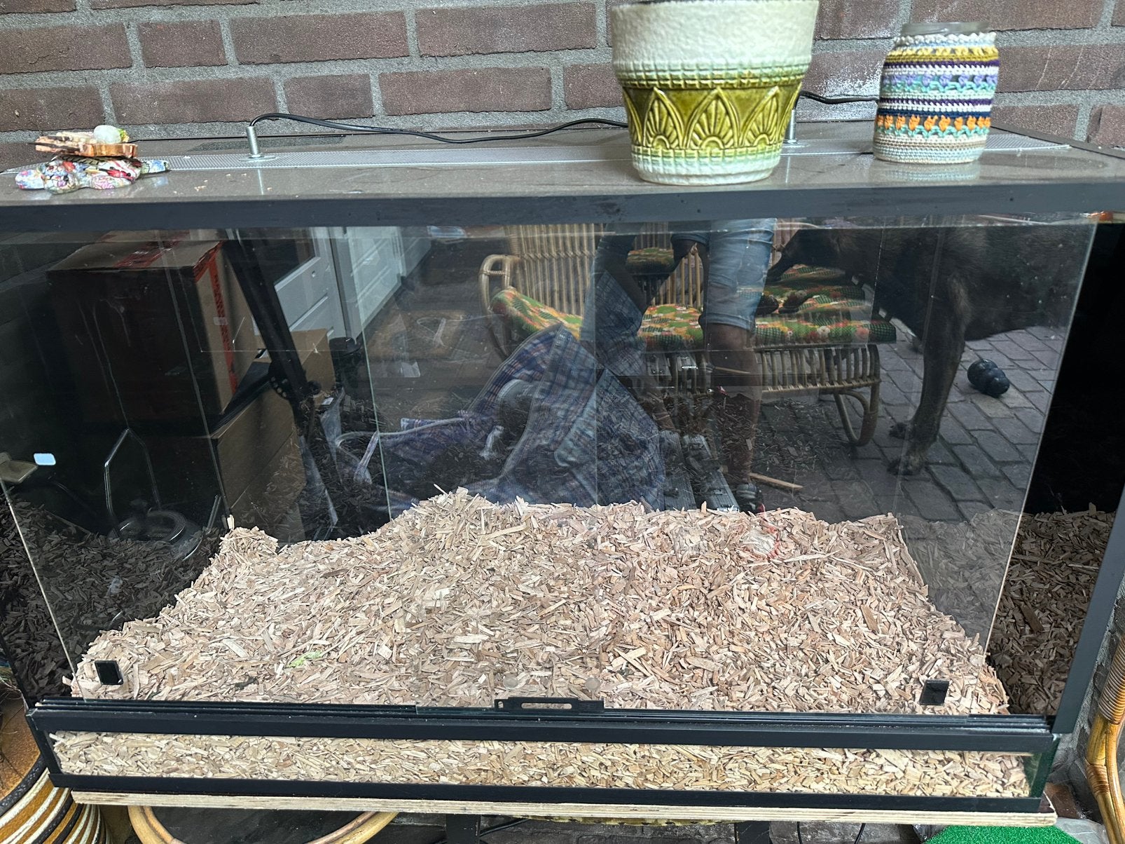 2x Terrarium, Ophalen, Gebruikt, Terrarium of Paludarium