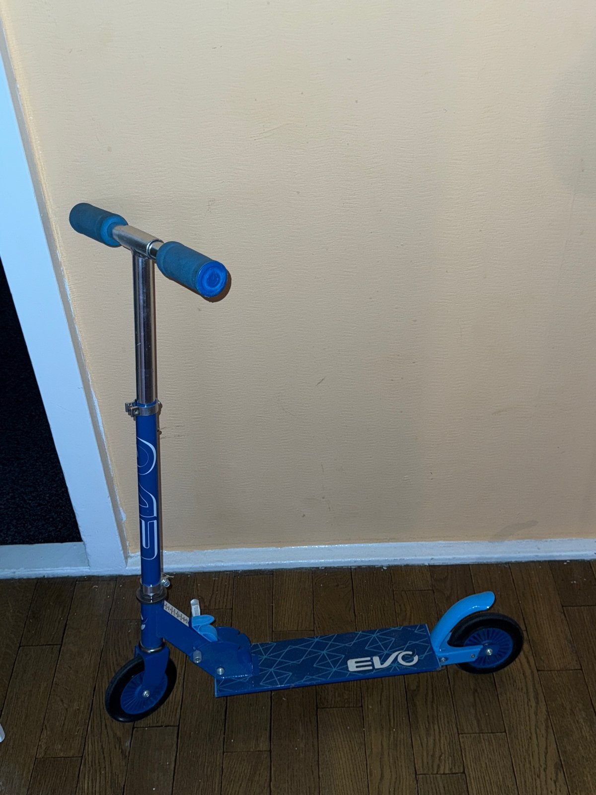 Blauwe EVO step voor kinderen, Ophalen, Gebruikt, Gewone step