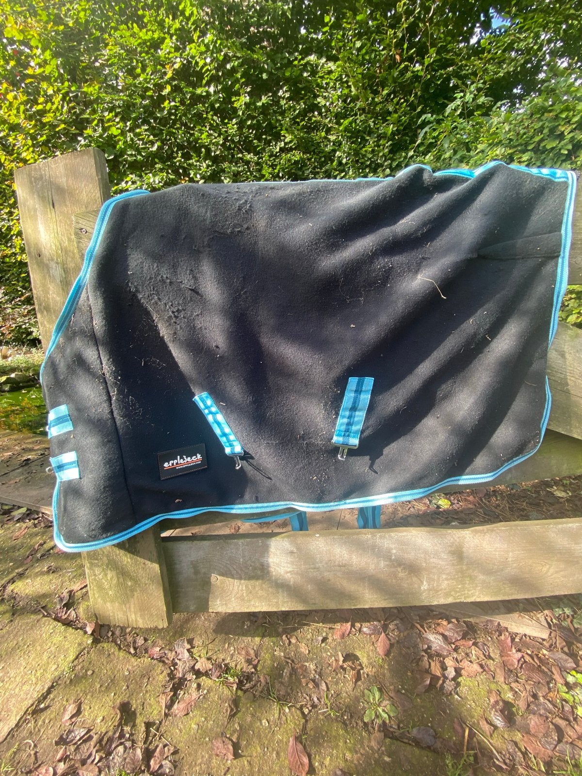 Zweetdeken maat 65cm/115cm blauw van epplejeck, Shetlander/Mini, Zweetdeken, Dubbele borstsluiting, Epplejeck