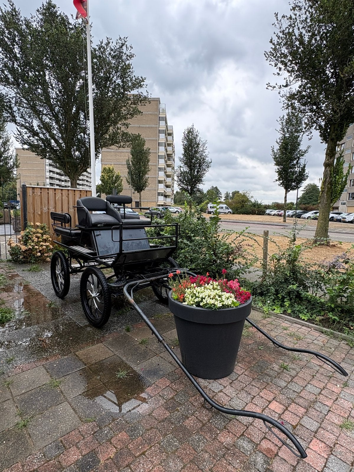 Marathon wagen, Zo goed als nieuw, Marathonwagen, Paard of Pony