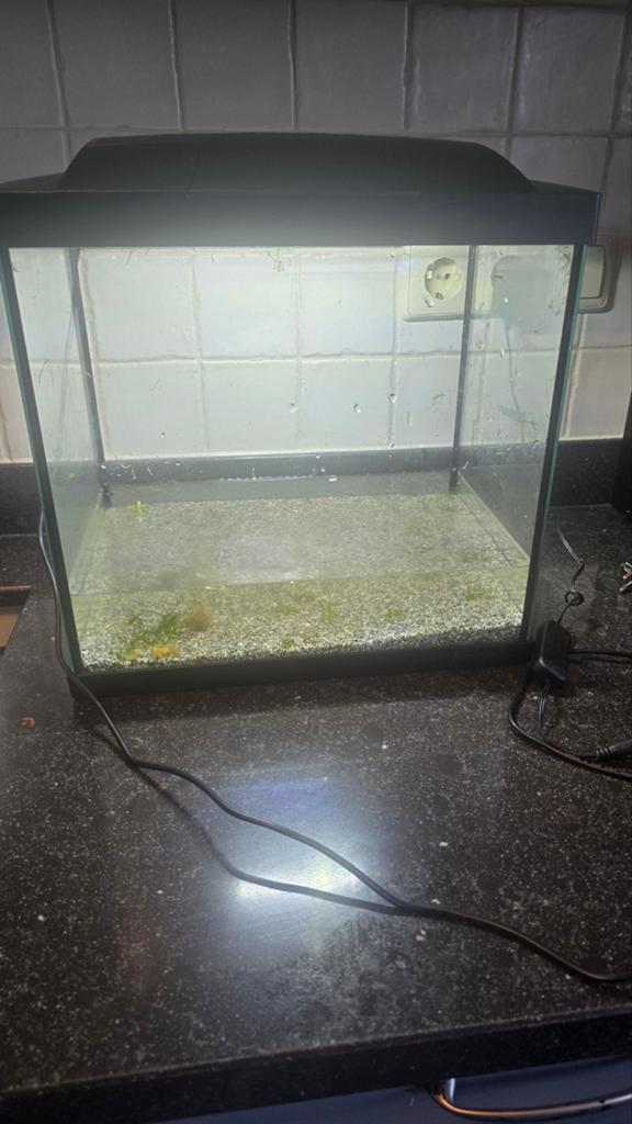 Aquarium, Dieren en Toebehoren, Vissen | Aquaria en Toebehoren, Ophalen, Zo goed als nieuw, Leeg aquarium