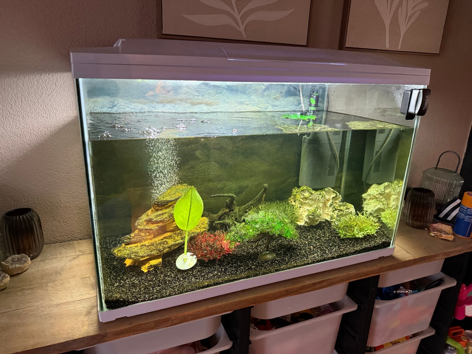 Superfish 150 aquarium met toebehoren, Dieren en Toebehoren, Ophalen, Zo goed als nieuw, Leeg aquarium, Inclusief deksel