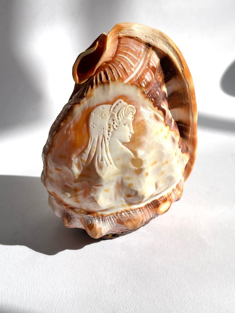 Cameo Carved Conch Shell Cassis Schelp lamp, Ophalen of Verzenden