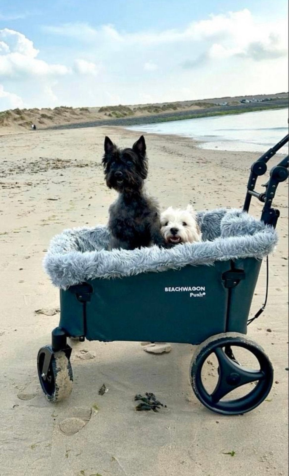Beachwagon PUSH - Opvouwbare bolderkar voor strand en meer, Ophalen, Opvouwbaar, Zo goed als nieuw
