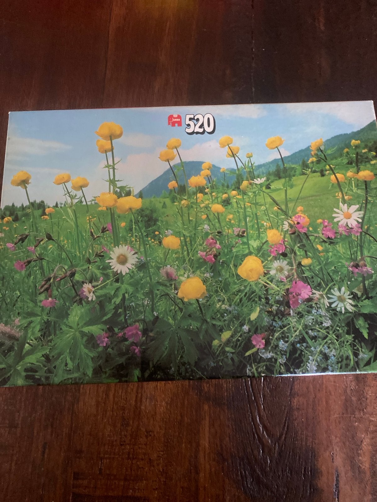Jumbo Legpuzzel Lente Bloemen 520 Stukjes, Ophalen of Verzenden, 500 t/m 1500 stukjes, Gebruikt, Legpuzzel