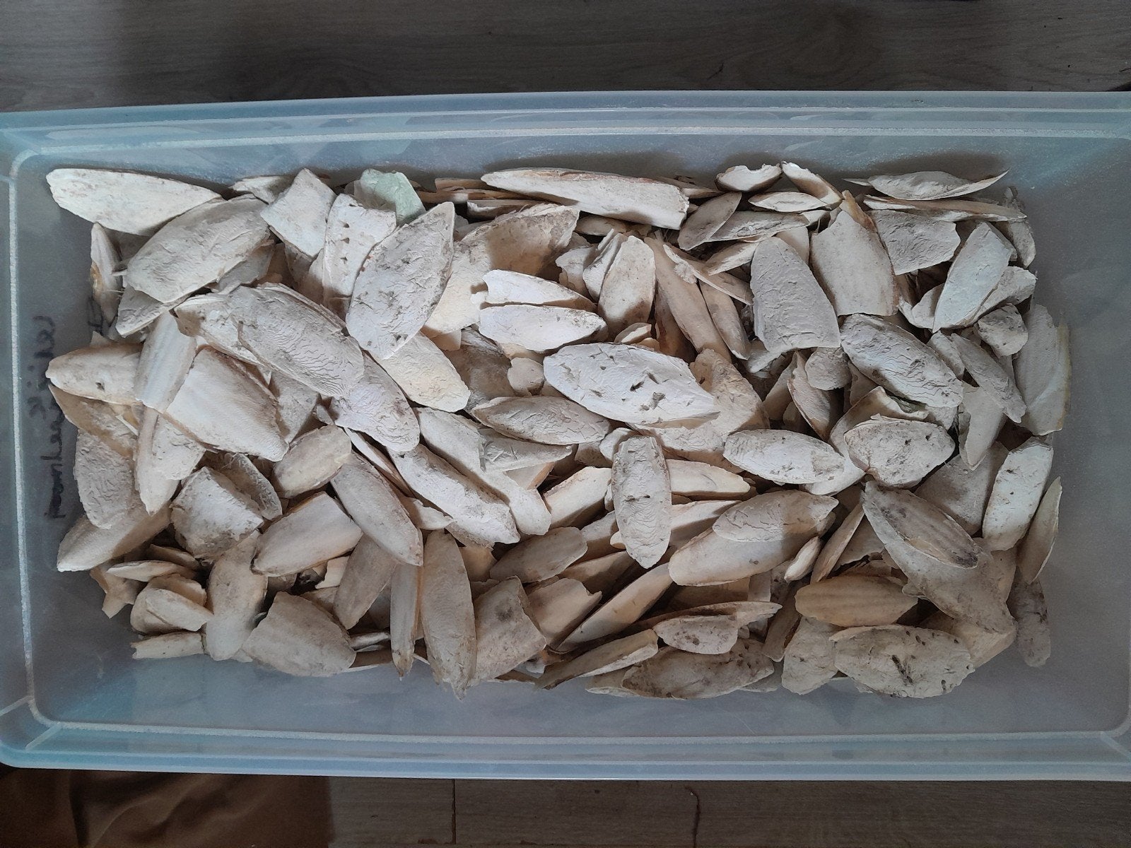 sepia, cuttlebone, vogelsepia, Dieren en Toebehoren, Ophalen of Verzenden, Nieuw, Eten en Drinken