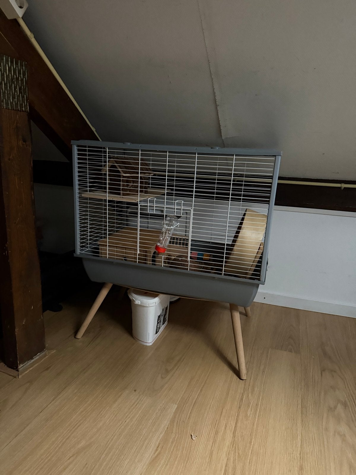 Hamster met hok, Minder dan 75 cm, Zo goed als nieuw, Ophalen, Minder dan 60 cm