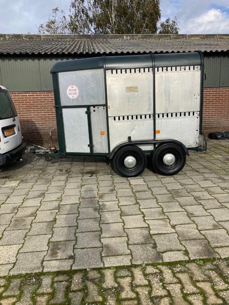 Te koop kleine aluminium veewagen, Mannelijk, Schaap