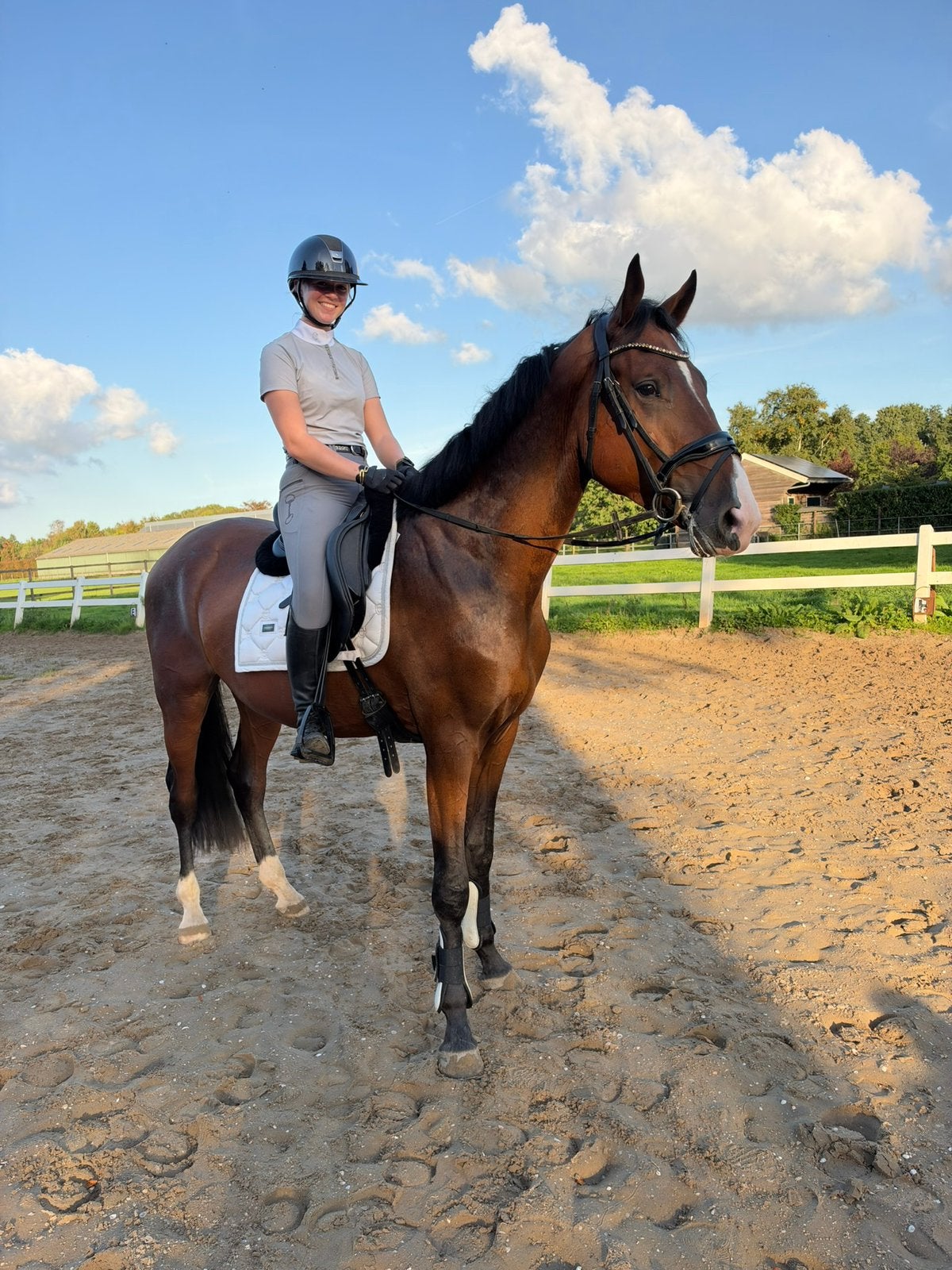 Stoere grote ruin!, Ruin, Dressuurpaard, 3 tot 6 jaar
