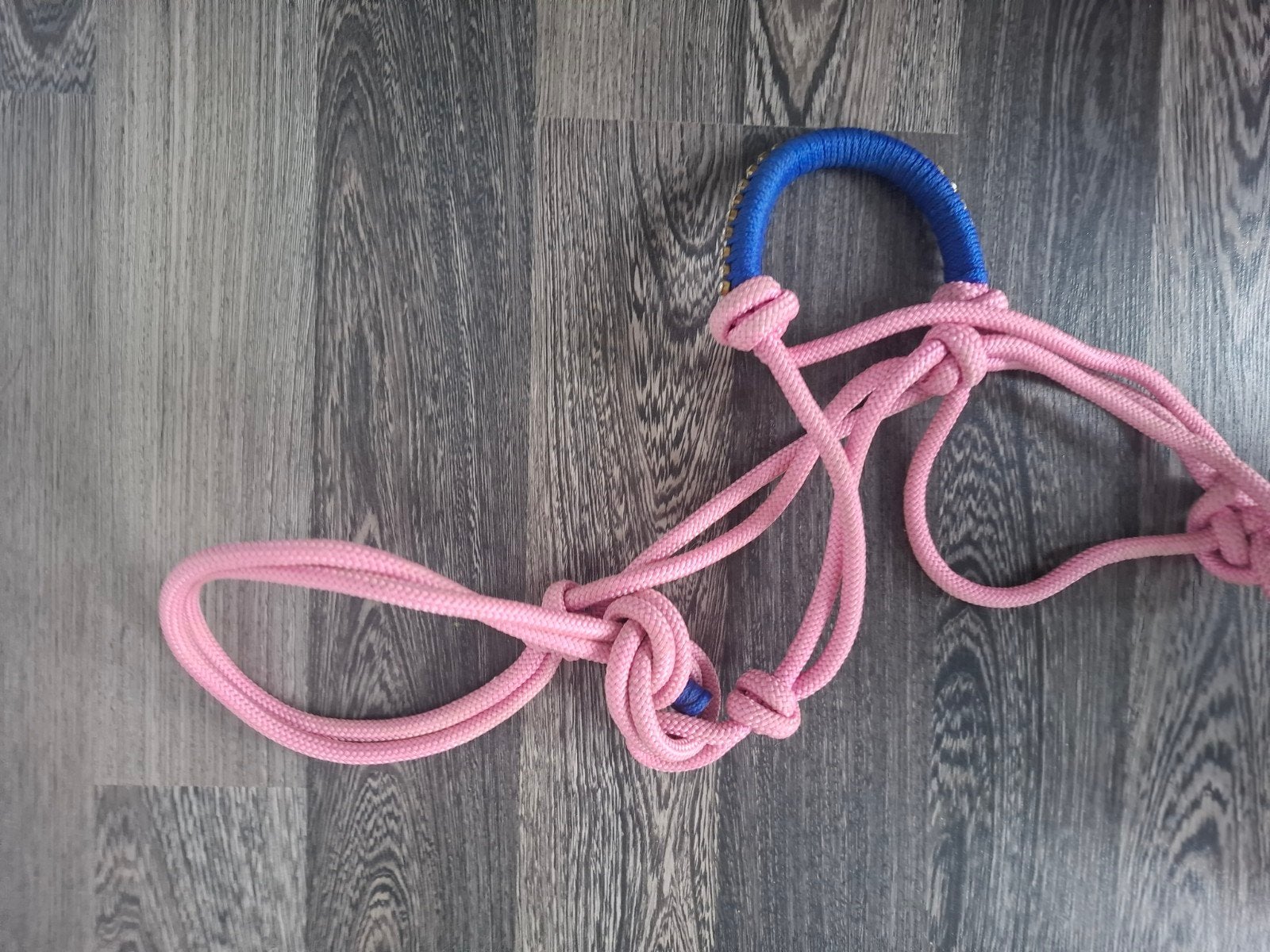 Lichtroze touwhalster met donkerblauwe neusband, Ophalen of Verzenden, Gebruikt, Recreatie