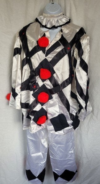 Dames  Carnavalskleding en Feestkleding, Kleding | Dames, Carnavalskleding en Feestkleding, Gedragen, Kleding, Carnaval, Maat 38/40 (M)