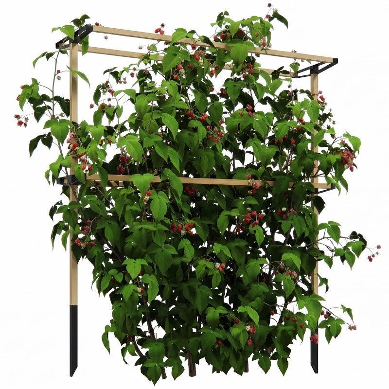 Plantenklimrek voor tuin en moestuin - 119x34x139 cm, Ophalen of Verzenden