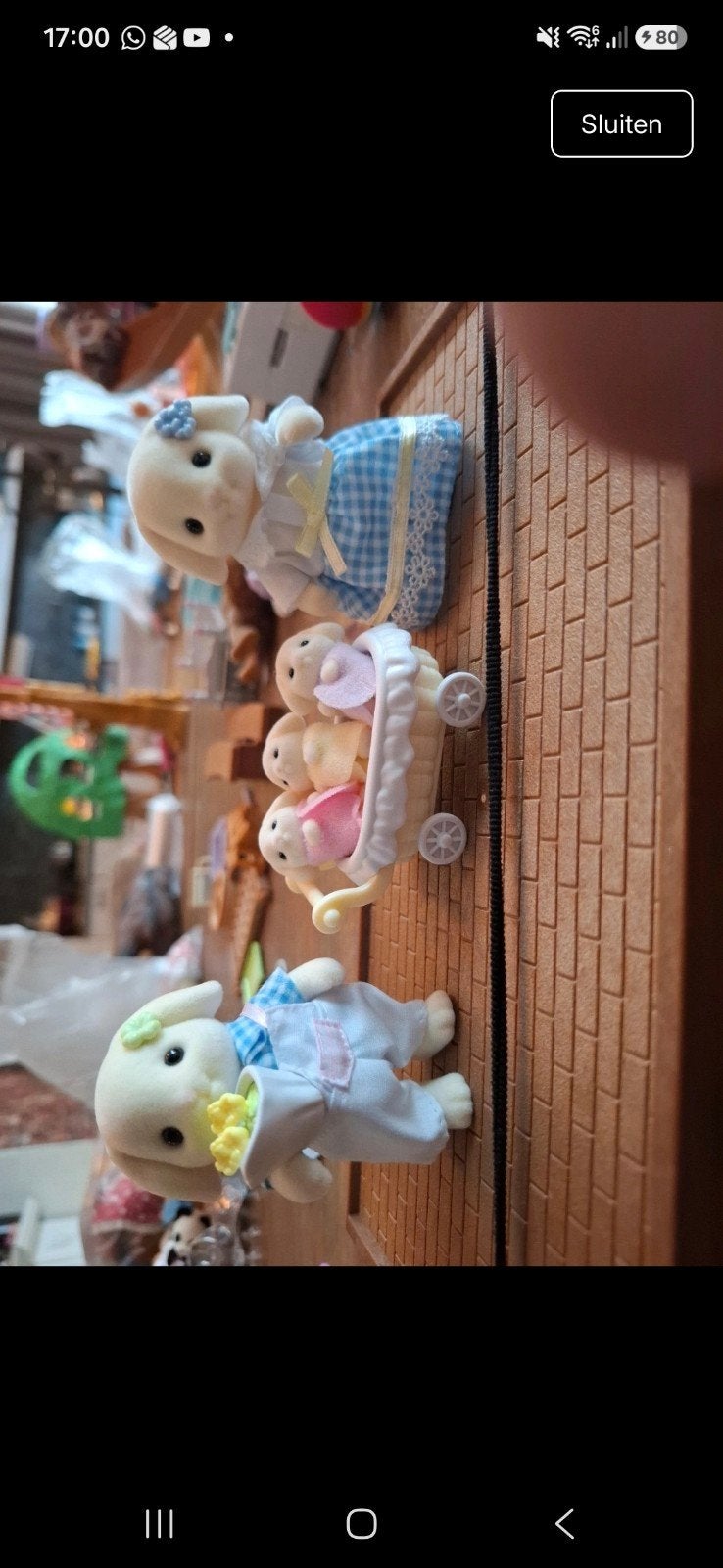 Nieuw Sylvanian Families setje met doosje, Ophalen of Verzenden, Nieuw, Jongen of Meisje