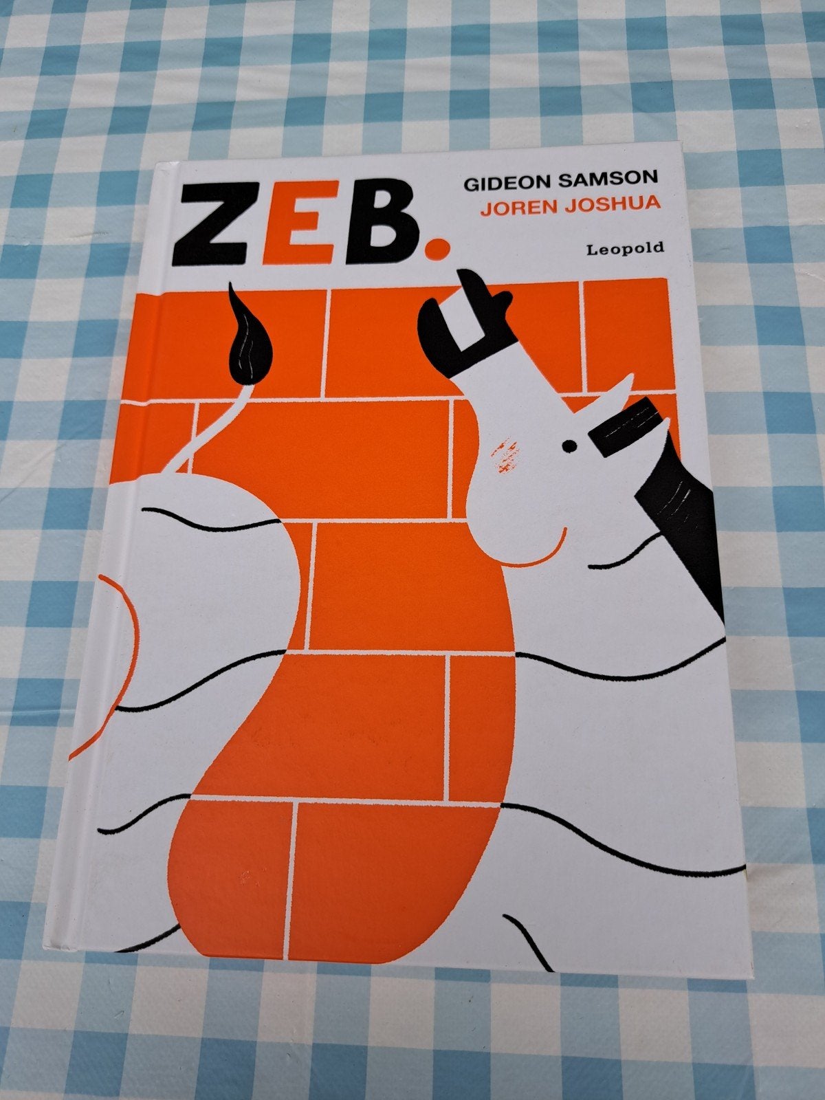 B3  Zeb. - Gideon Samson & Joren Joshua (Kinderboek), Boeken, Ophalen of Verzenden, Zo goed als nieuw, Gideon Samson, Joren Joshua