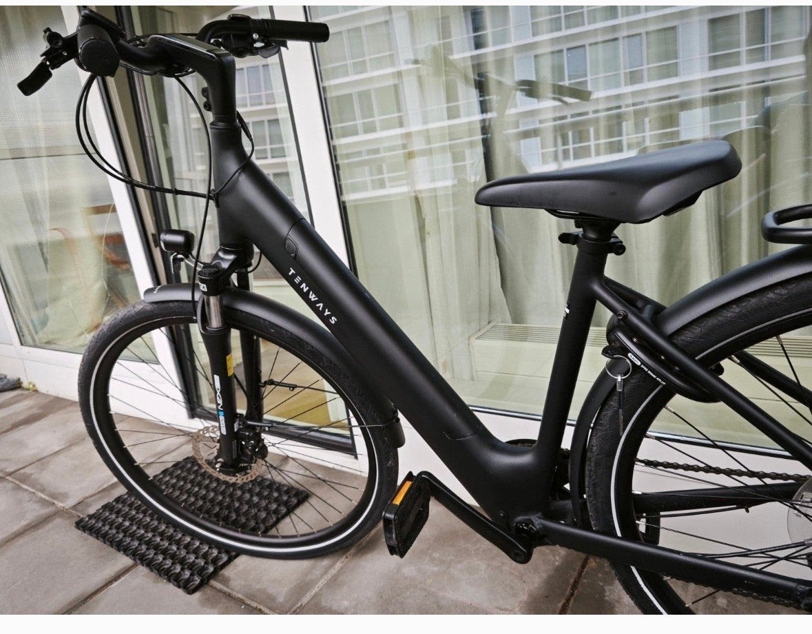 SCHIEDAM Gestolen: Tenways e-bike fiets, Ophalen of Verzenden, Gebruikt, Overige merken